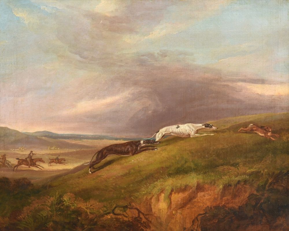 Dogs in the Field ... 